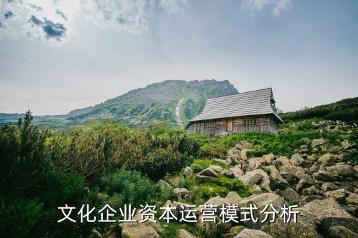 文化企業資本運營模式分析