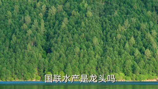  國聯水產是龍頭嗎