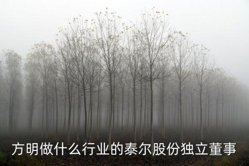 方明做什么行業的泰爾股份獨立董事