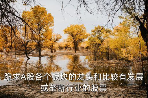 跪求A股各個板塊的龍頭和比較有發展或壟斷行業的股票
