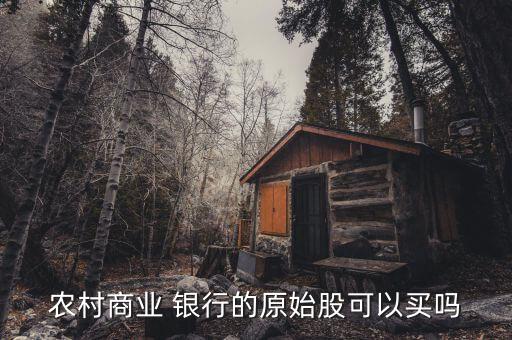農村商業 銀行的原始股可以買嗎
