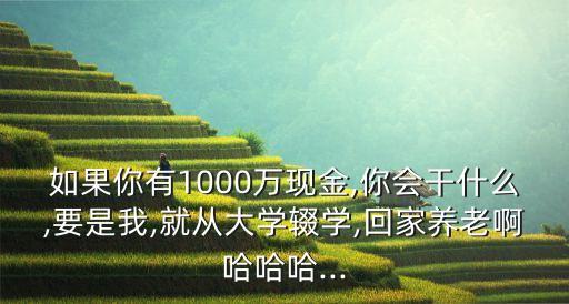 如果你有1000萬現金,你會干什么,要是我,就從大學輟學,回家養老啊哈哈哈...