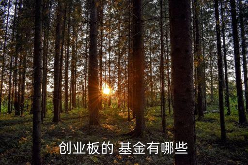 創業板的 基金有哪些