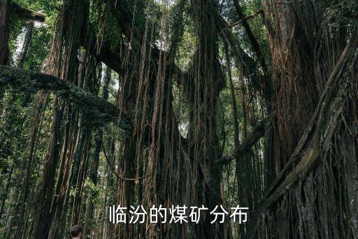 山西蘭花集團寶欣煤業,同寶煤業屬于蘭花集團嗎
