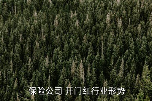  保險公司 開門紅行業形勢
