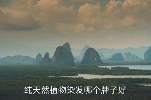 純天然植物染發哪個牌子好