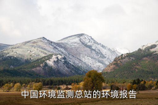 中國環境監測總站的環境報告