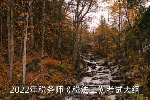 2022年稅務師《稅法二》考試大綱