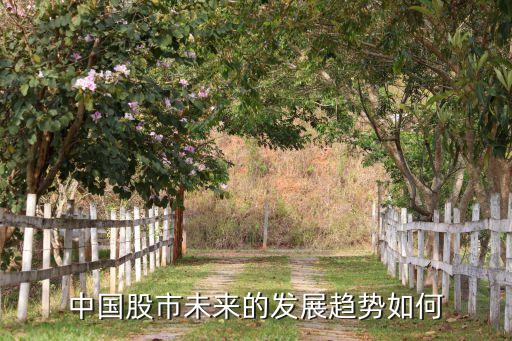 中國股市未來的發展趨勢如何