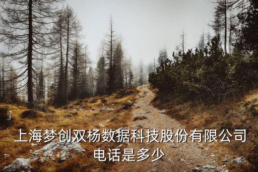  上海夢創雙楊數據科技股份有限公司電話是多少
