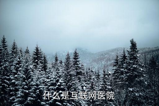 什么是互聯網醫院
