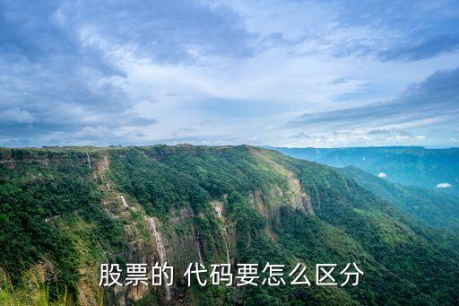  股票的 代碼要怎么區分