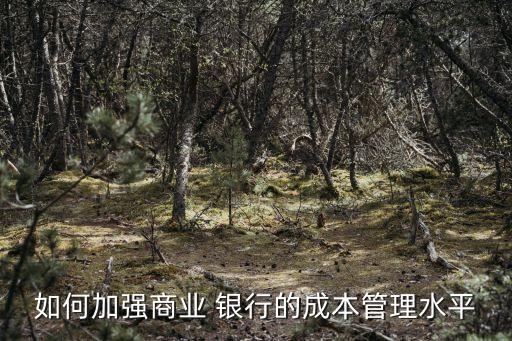 如何加強商業 銀行的成本管理水平