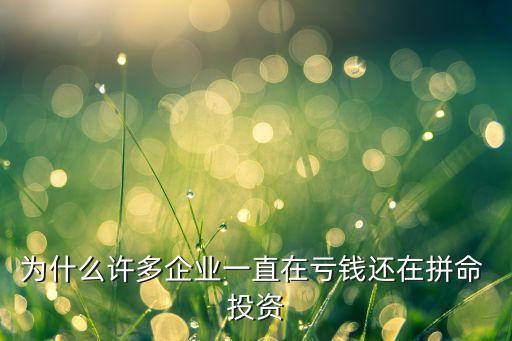 為什么許多企業一直在虧錢還在拼命 投資