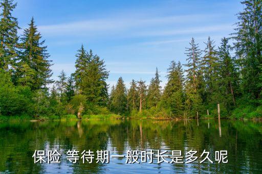 各保險公司等待期,保險公司等待期是以發病為準還是終止