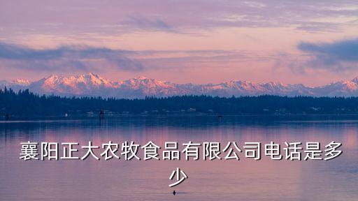  襄陽正大農牧食品有限公司電話是多少