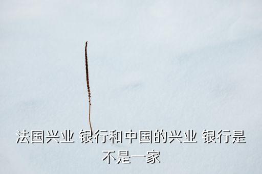 法國興業 銀行和中國的興業 銀行是不是一家