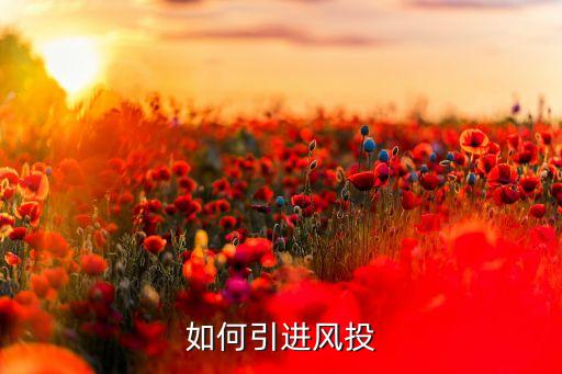 中小企業與風險投資