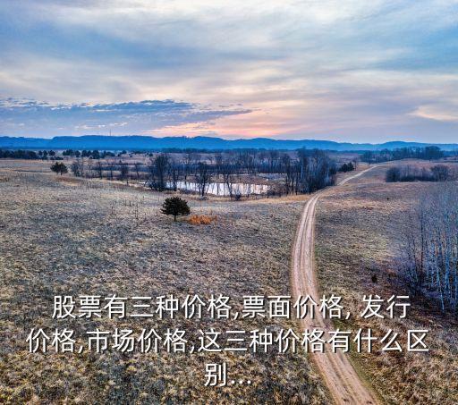 股票發行可以實行折價發行