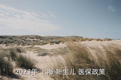 2023年 上海 新生兒 醫保政策