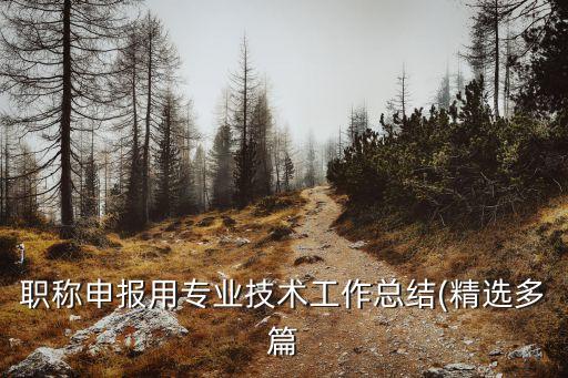 內蒙古康乃爾化學工業公司