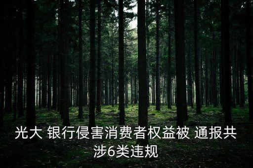 光大 銀行侵害消費者權益被 通報共涉6類違規