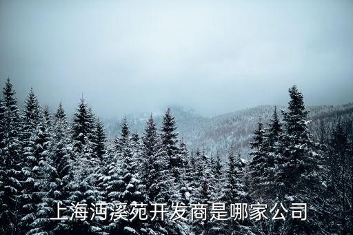  上海沔溪苑開發商是哪家公司