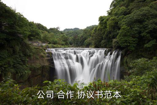  公司 合作 協議書范本