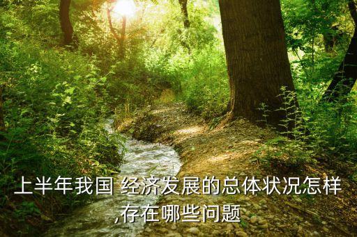 上半年我國 經濟發展的總體狀況怎樣,存在哪些問題