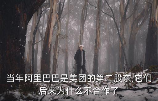 中國互聯網第四極