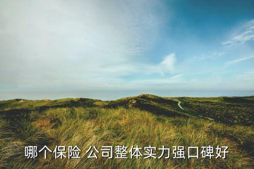 保險(xiǎn)行業(yè)那個公司好
