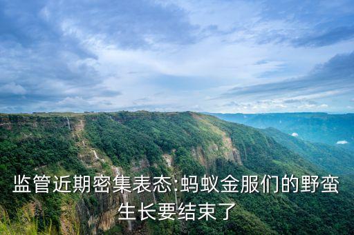 監管近期密集表態:螞蟻金服們的野蠻生長要結束了