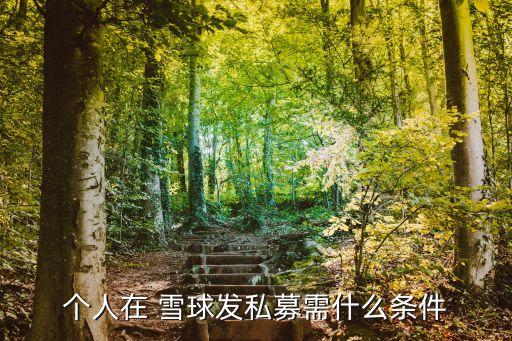 個人在 雪球發私募需什么條件