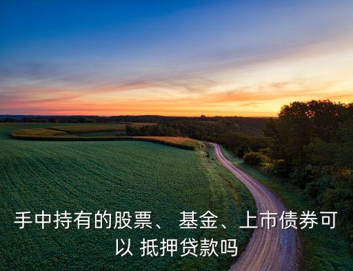手中持有的股票、 基金、上市債券可以 抵押貸款嗎