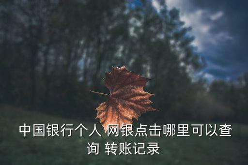  中國(guó)銀行個(gè)人 網(wǎng)銀點(diǎn)擊哪里可以查詢(xún) 轉(zhuǎn)賬記錄