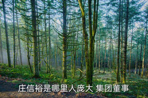 深商控股集團有限公司,深創建控股集團有限公司