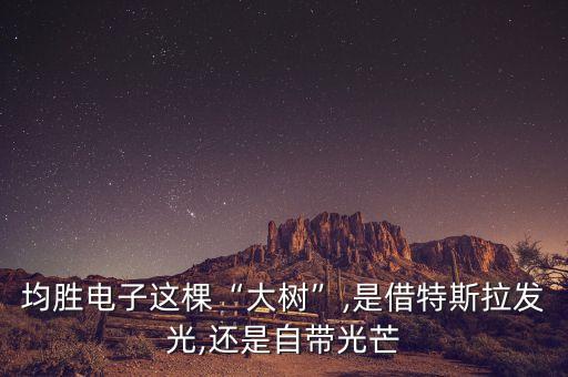 均勝電子這棵“大樹”,是借特斯拉發光,還是自帶光芒