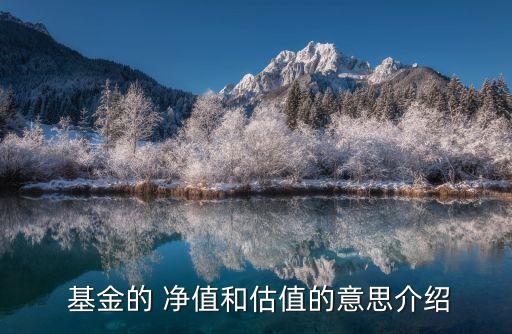 國投成長基金凈值,國投創新動力基金凈值121005