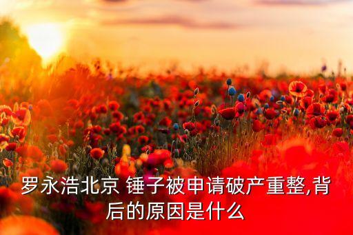 錘子公司離職,公司被抓了我已經離職了