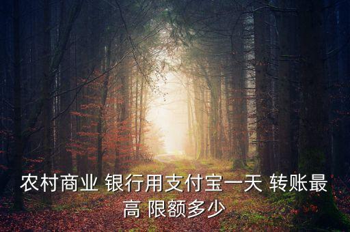 農村商業 銀行用支付寶一天 轉賬最高 限額多少