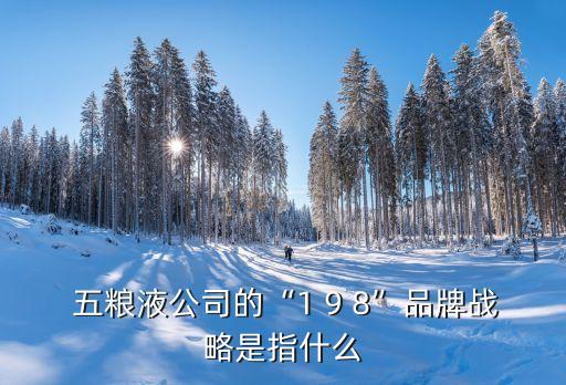 五糧液公司的“1 9 8”品牌戰略是指什么