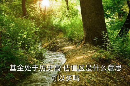 基金估值風險點