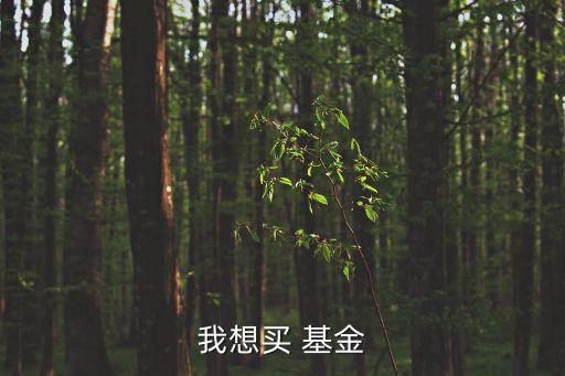 南方500天天基金,南方創新醫藥c天天基金