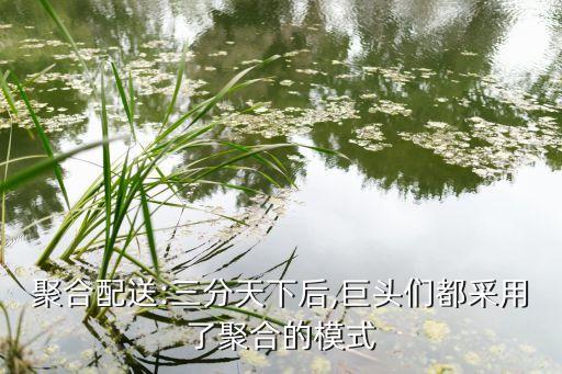 電商企業公司合并,小型電商企業公司有哪些