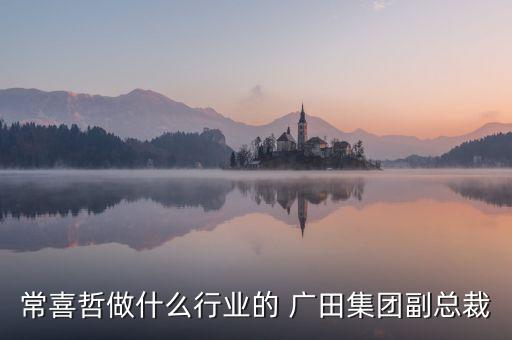 常喜哲做什么行業的 廣田集團副總裁