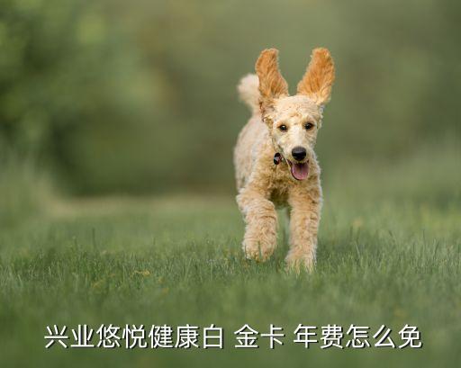  興業悠悅健康白 金卡 年費怎么免