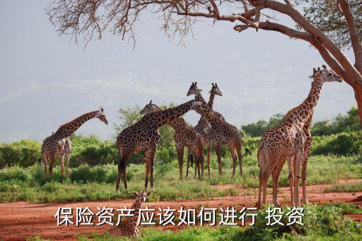 保險資產應該如何進行 投資