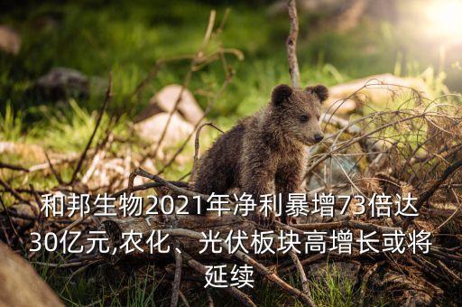 和邦生物2021年凈利暴增73倍達30億元,農化、光伏板塊高增長或將延續
