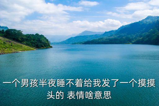 一個男孩半夜睡不著給我發了一個摸摸頭的 表情啥意思