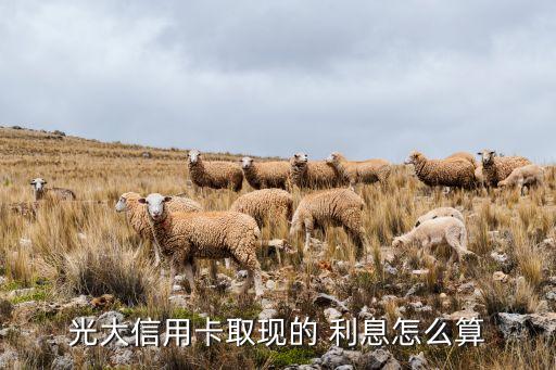 光大信用卡取現的 利息怎么算